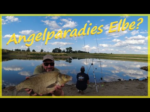 River fishing with feeder baskets for bream, carp, chub, and more. #elbe #elbeangeln