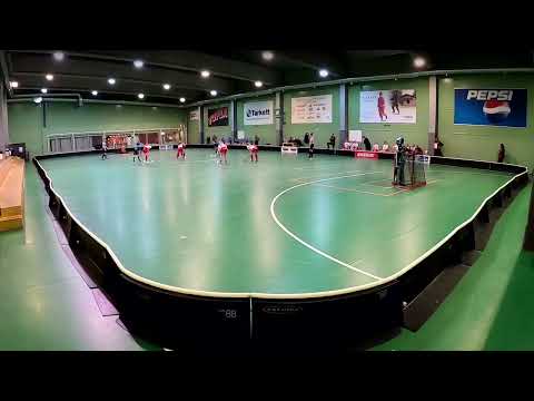 Leki/VesVi vs. Häme Stars (klo 18-19) D-tytöt 071120