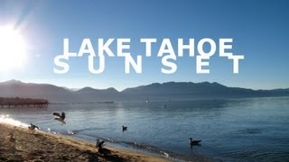 preview picture of video 'Wild Geese Goose Animals In South Lake Tahoe Gold Golden Sunset Beach Northern California Travel'