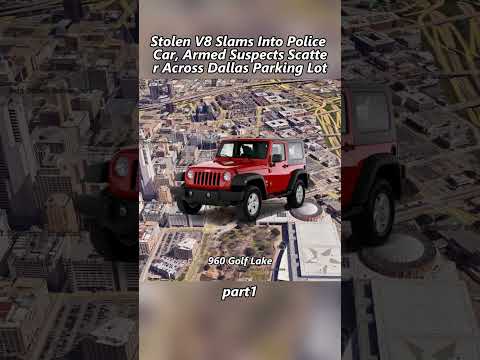 Shoplifting in Dallas, TX