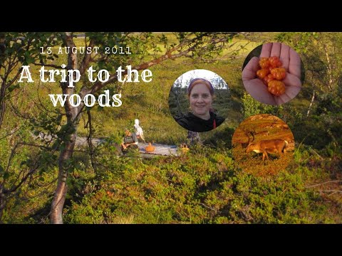 A trip to the woods, 13 August 2011