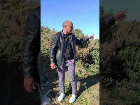 Urubici Santa Catarina top demais