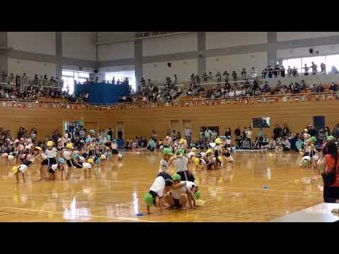 kindergarten sports day