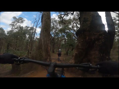 Goldilocks Muffin Tops 27092020