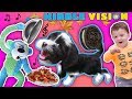 OUR PUPPY DOG TALKING ABOUT FOOD!  FUNnel Vis OREO Songs Compilation Vlog + Climbing Wall T