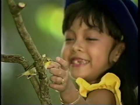 Con chim vành khuyên - Bé Hoàn Mỹ