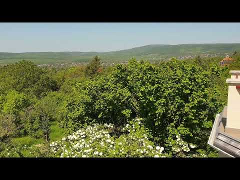 Eladó családi ház, Budakeszi 5 szoba 396 m² 290 M Ft