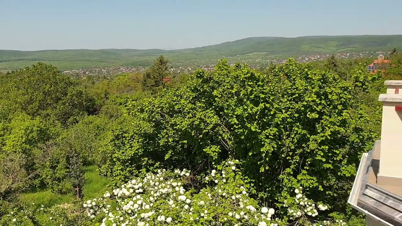 Eladó családi ház, Budakeszi 5 szoba 396 m² 290 M Ft