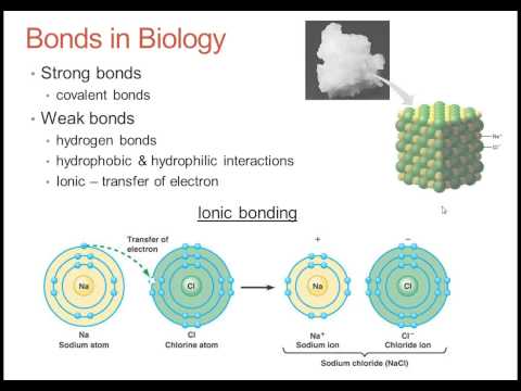 The Chemical Basis Of life Part 1