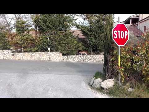 Rally dei colli scaligeri 2016 ps 6 bisano