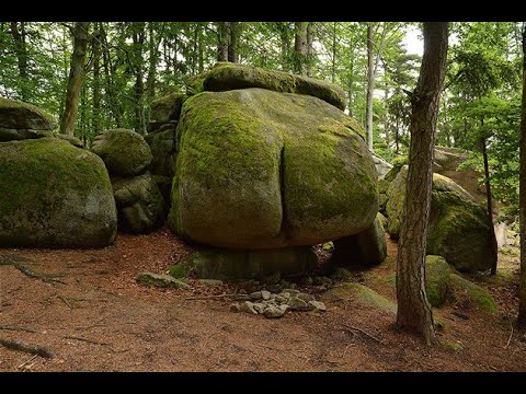 Michalova Doprava - PARODIE