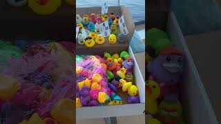 DUCKS, DUCKS 🐤 & MORE CRUISE 🚢 DUCKS STAR PRINCESS