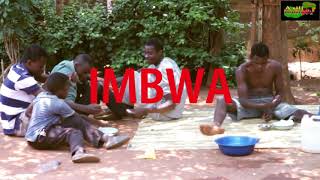 ASILI comedy_ imbwa