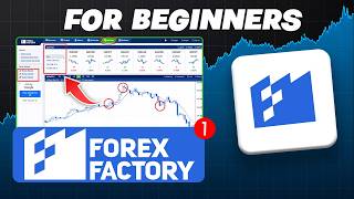 How to Read Forexfactory Calender FAST (with ZERO experience)