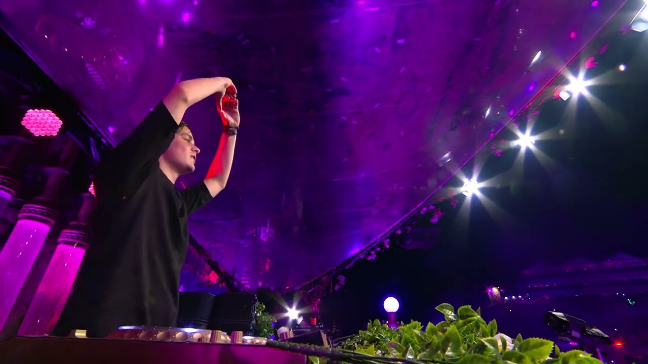 Throwback to Martin Garrix, Tomorrowland 2016