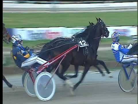 Trotto 23/01/2018 - 4ª corsa