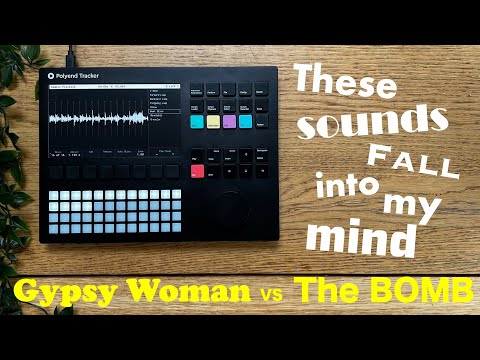 How to Sample on the Polyend Tracker // creating house House Classics