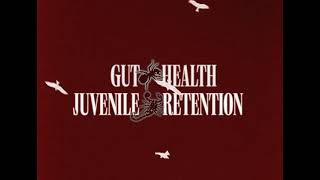 Gut Health – “Juvenile Retention”