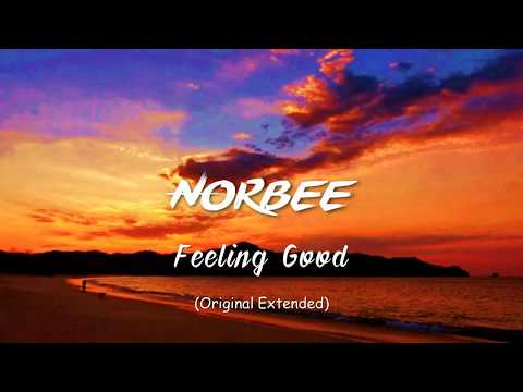 Norbee  - Feeling Good (Original Extended)