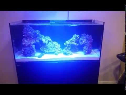 Red Sea Reefer 350 Part 4: Review/Equipment/Sump/Gyre Review!