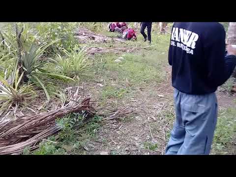 Karang taruna balla paleha