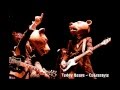 Teddy Bears - Cobrastyle 