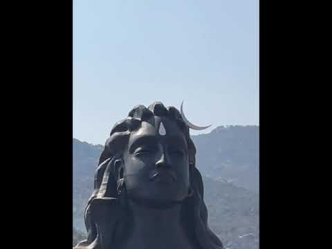 12 de novembro de 2023