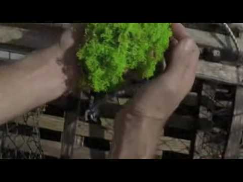 A Lobster Tale - Trailer (OfficialBestOfFest.com)