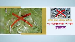 জাটকা নিধন প্রতিরোধ কার্যক্রম ২০২৫