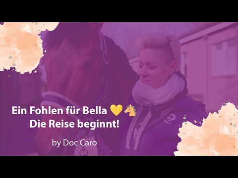 A foal for Bella – the beginning of a special journey 🐴💛