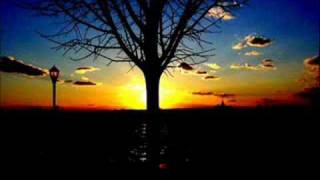 Jakob Dylan - Valley of the low sun