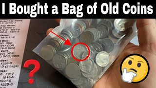 I Bought a Bag of Old Coins - Buffalo Nickels, Indian Pennies + MORE