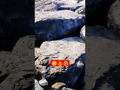 Beautiful Nature  #shorts