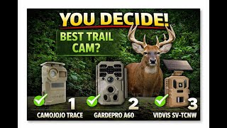 Same Week, Three Trail Cameras — Very Different Results