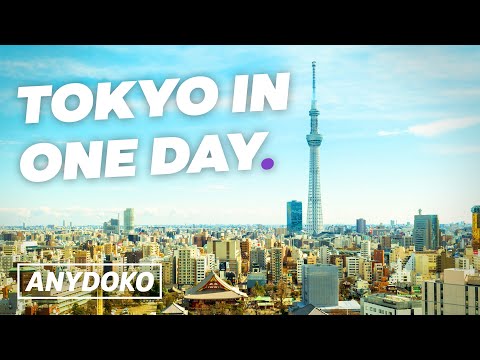 東京都内のベスト24時間! (The Best 24 Hours in Tokyo!)