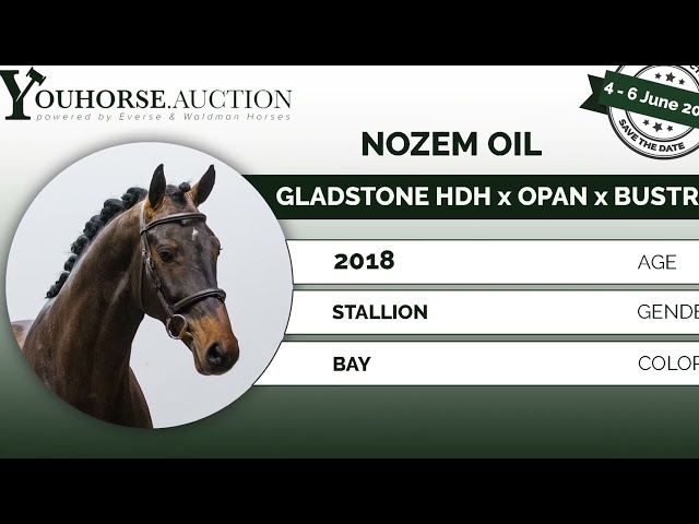 Nozem Oil