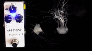 Video thumbnail for Mosky Obsessive Overdrive Demo by Doctor McFarland Studios