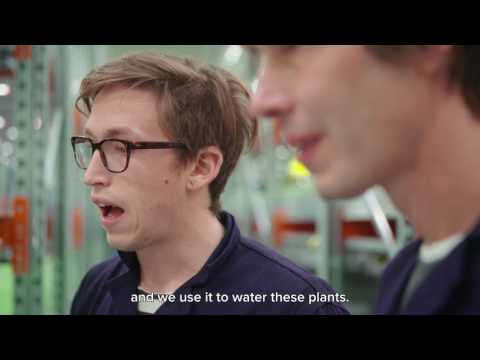 4.3- Brian Cox School experiments - Plants