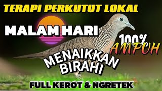 Download lagu Pancingan perkutut | Terapi perkutut malam hari | Menaikkan Birahi & Mental Perkutut #perkututlokal mp3