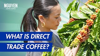 What is Direct Trade Coffee? | Ultimate Guide to Vietnamese Coffee | Nguyen Coffee Supply