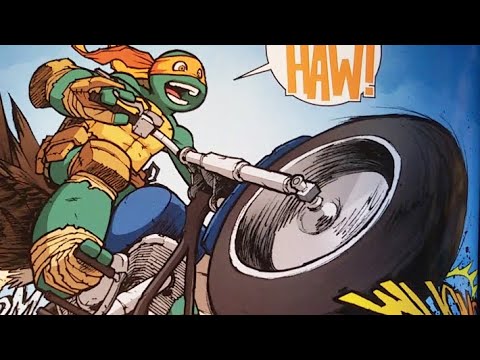 panellogy 384 - tmnt collections from idw