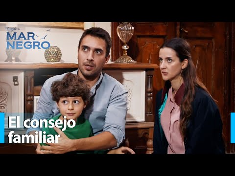 ¡El pequeño consejo familiar se reúne con urgencia! - Mar Negro Capítulo 206 | Fugitiva