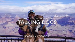 TALKING DOGS: Milo &amp; Noah – How a Non-Dog Person Ends up With Three Dogs