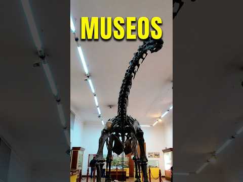 Caminata por los Museos de Córdoba Argentina 🇦🇷 | Walking Tour en 4K
