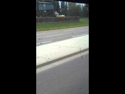 download lagu mp3 mp4 Woosh Bus, download lagu Woosh Bus gratis, unduh video klip Woosh Bus