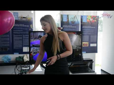 Natasa Perkovic. RT-RK