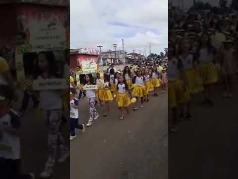 Victoria Maryane da Silva