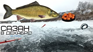 На что карп клюет в декабре
