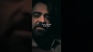 We put this one out about 15 years ago… can’t believe it. #countingcrows #youcantcountonme #shorts