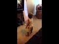 Brayden And Choo Choo Soul